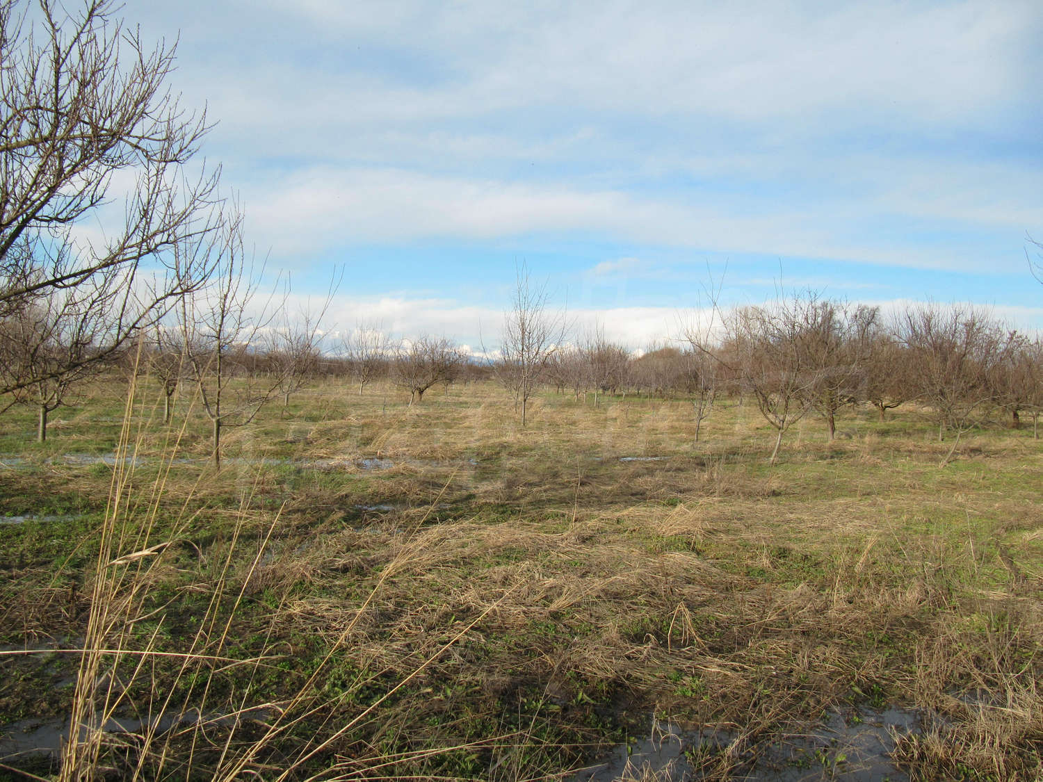 Agricultural Land For Sale Near Plovdiv Bulgaria Fish Pond And