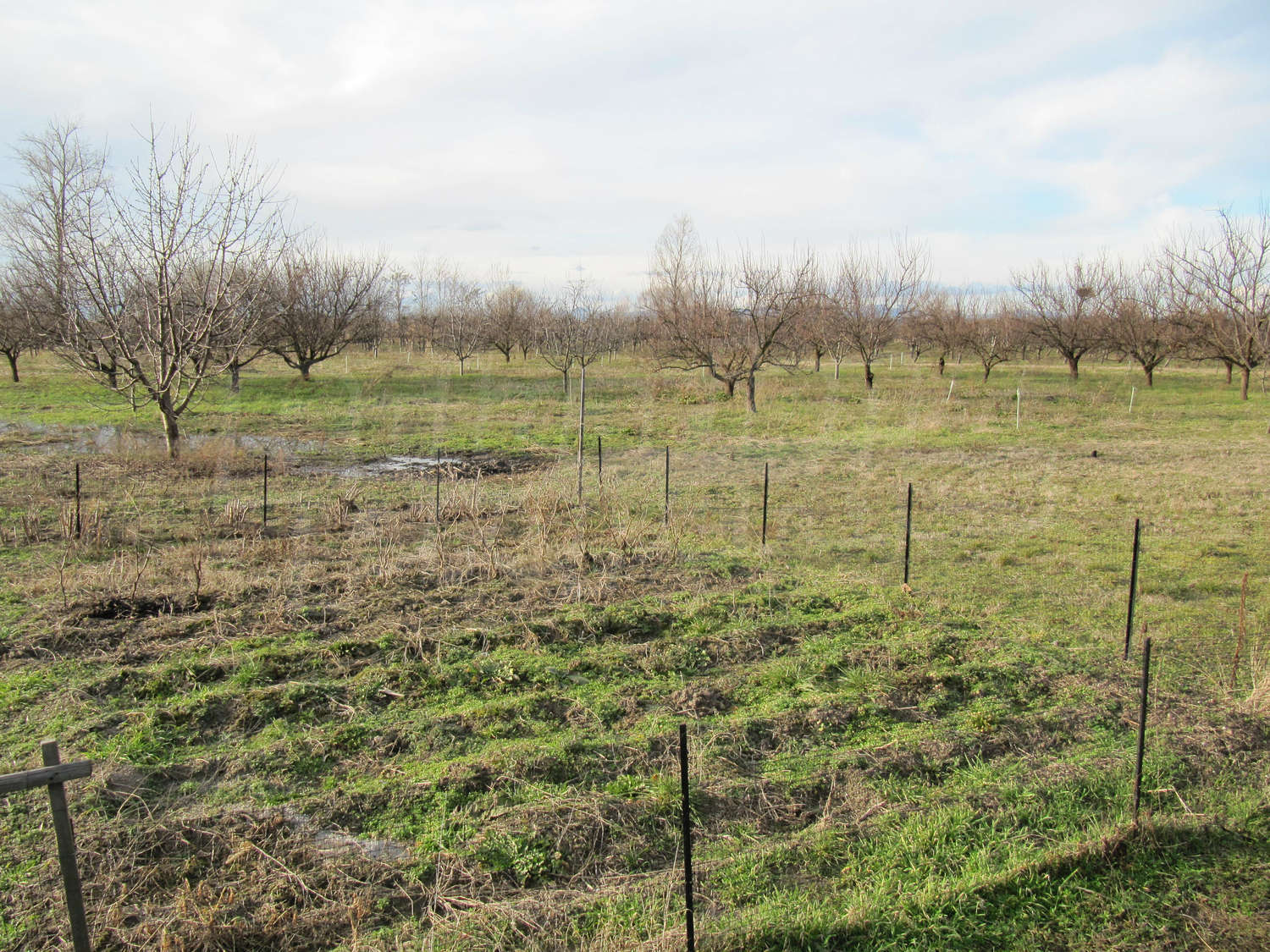 Agricultural Land For Sale Near Plovdiv Bulgaria Fish Pond And