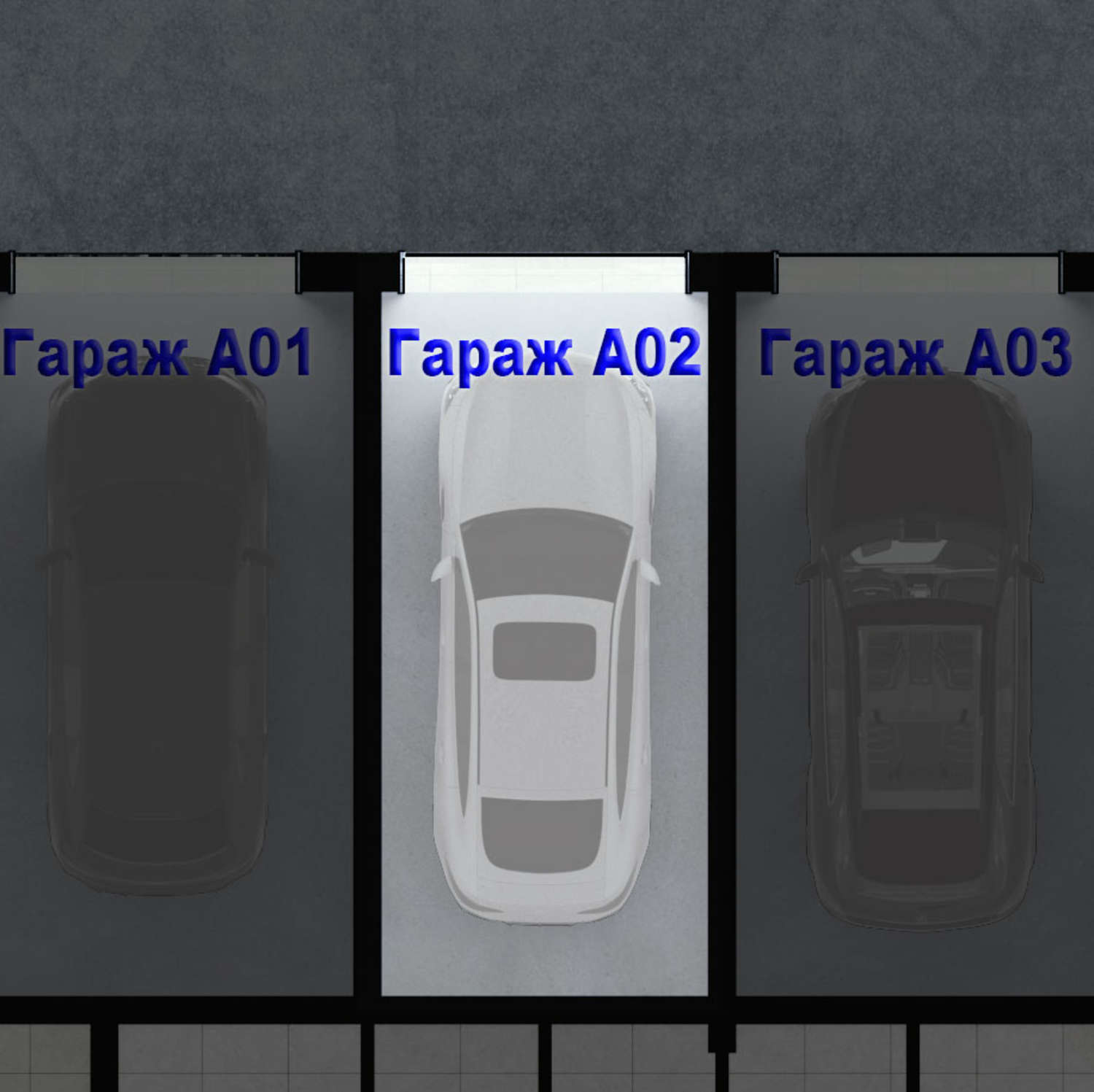 Gallery Picture