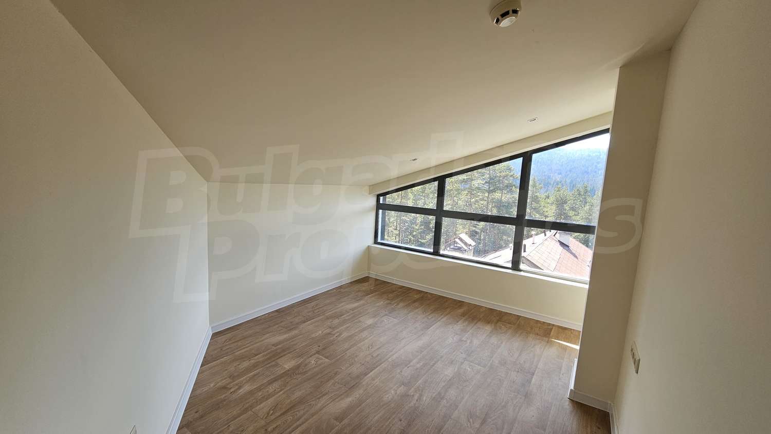 Gallery Picture