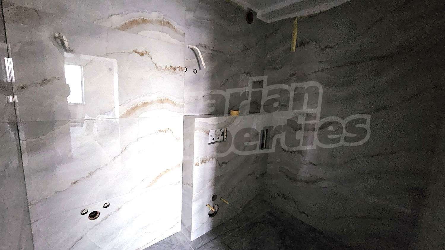 Gallery Picture
