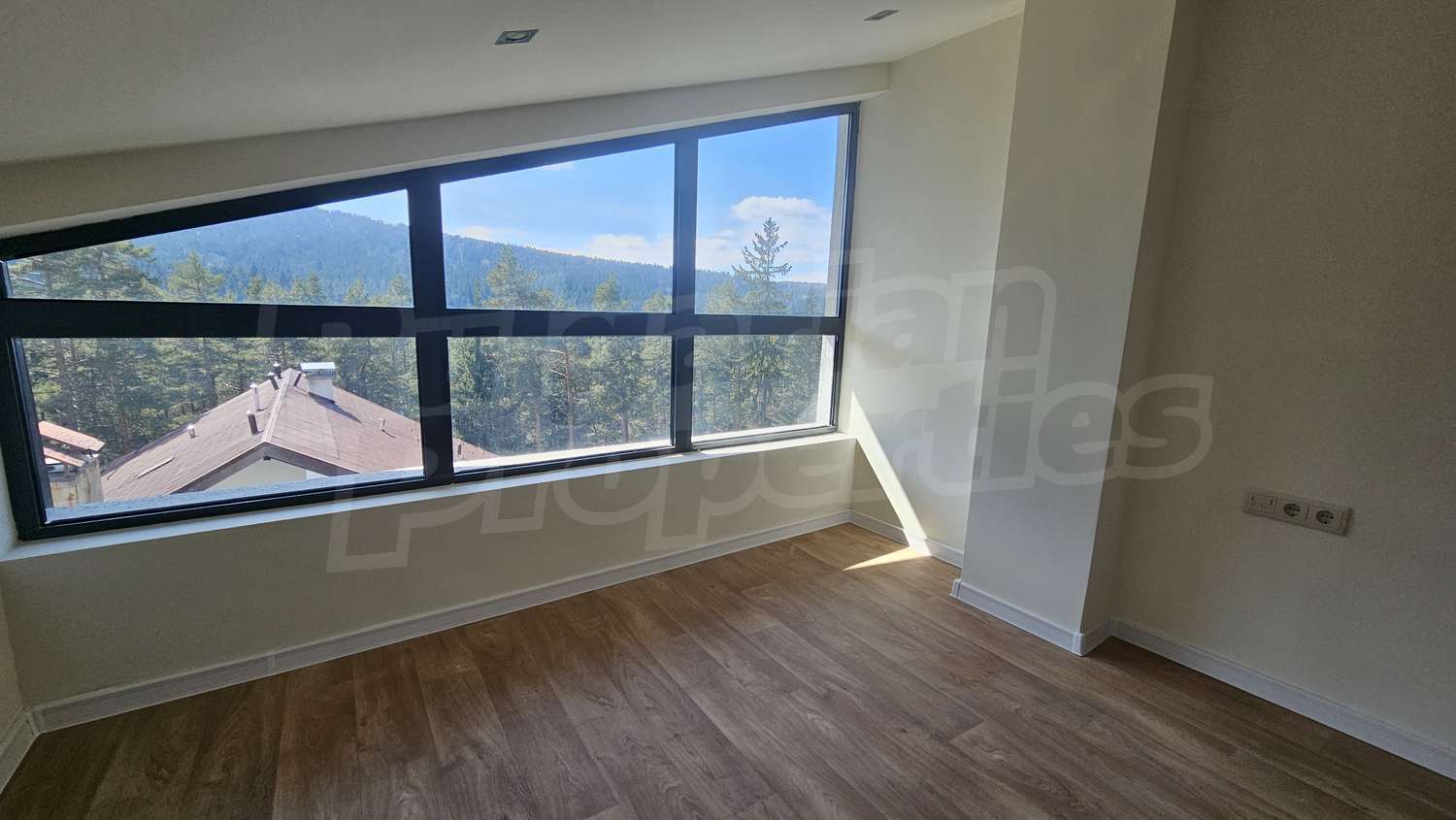 Gallery Picture