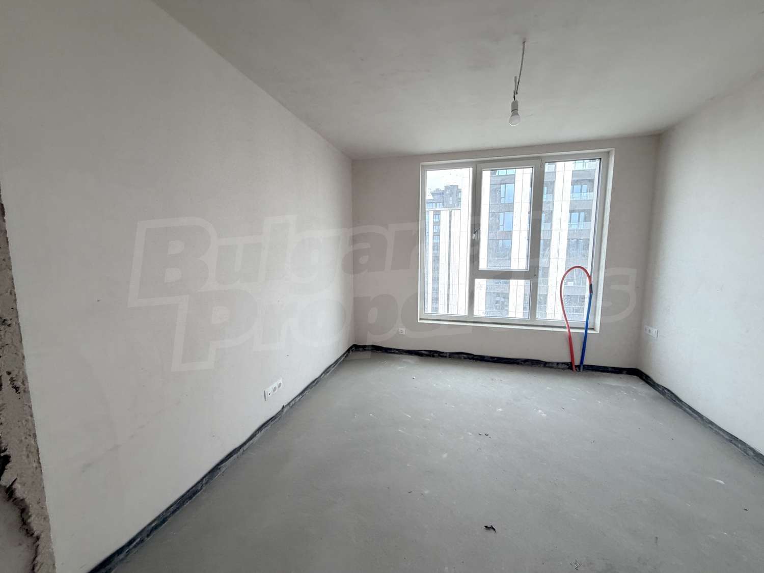 Gallery Picture