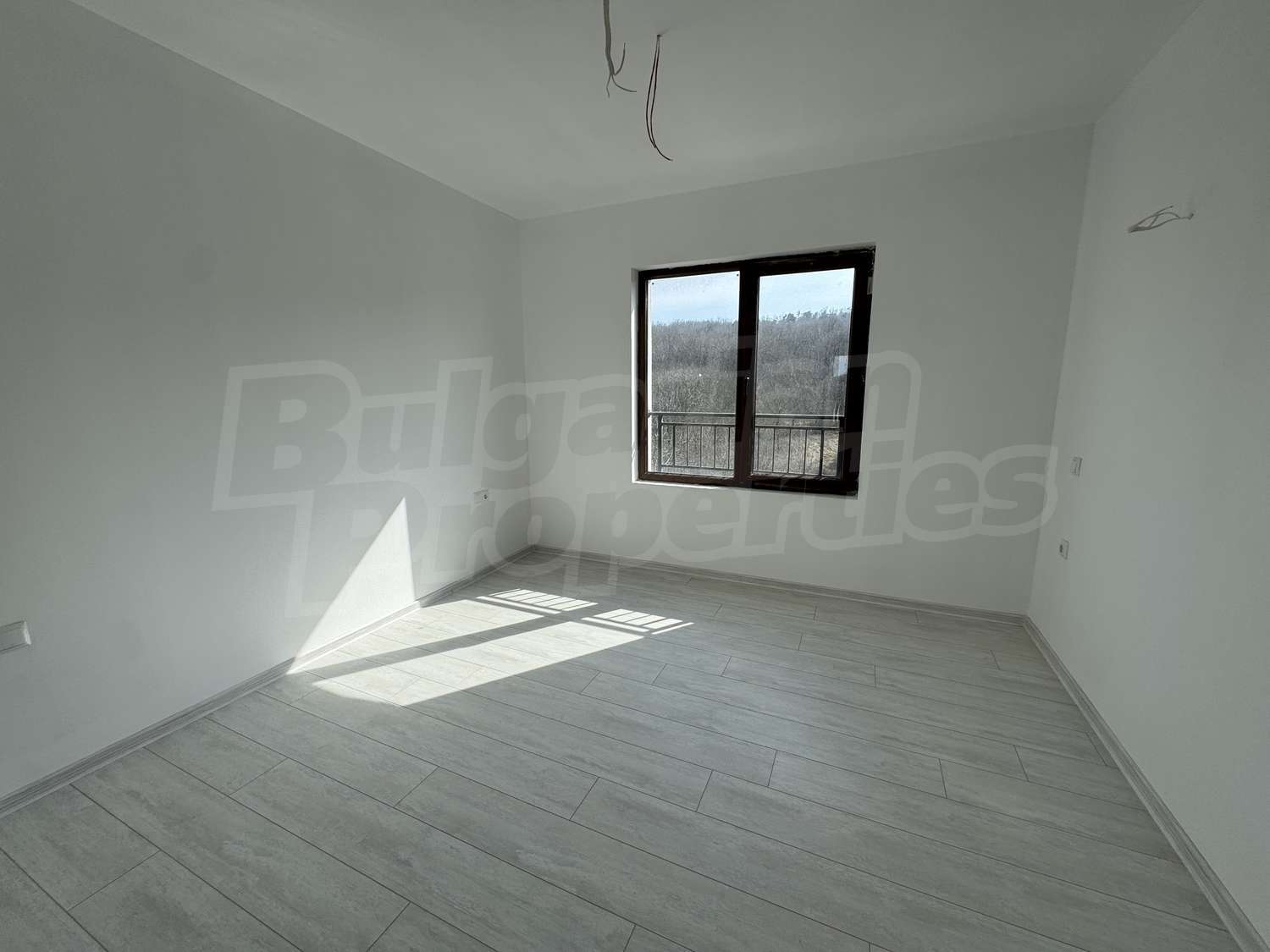 Gallery Picture