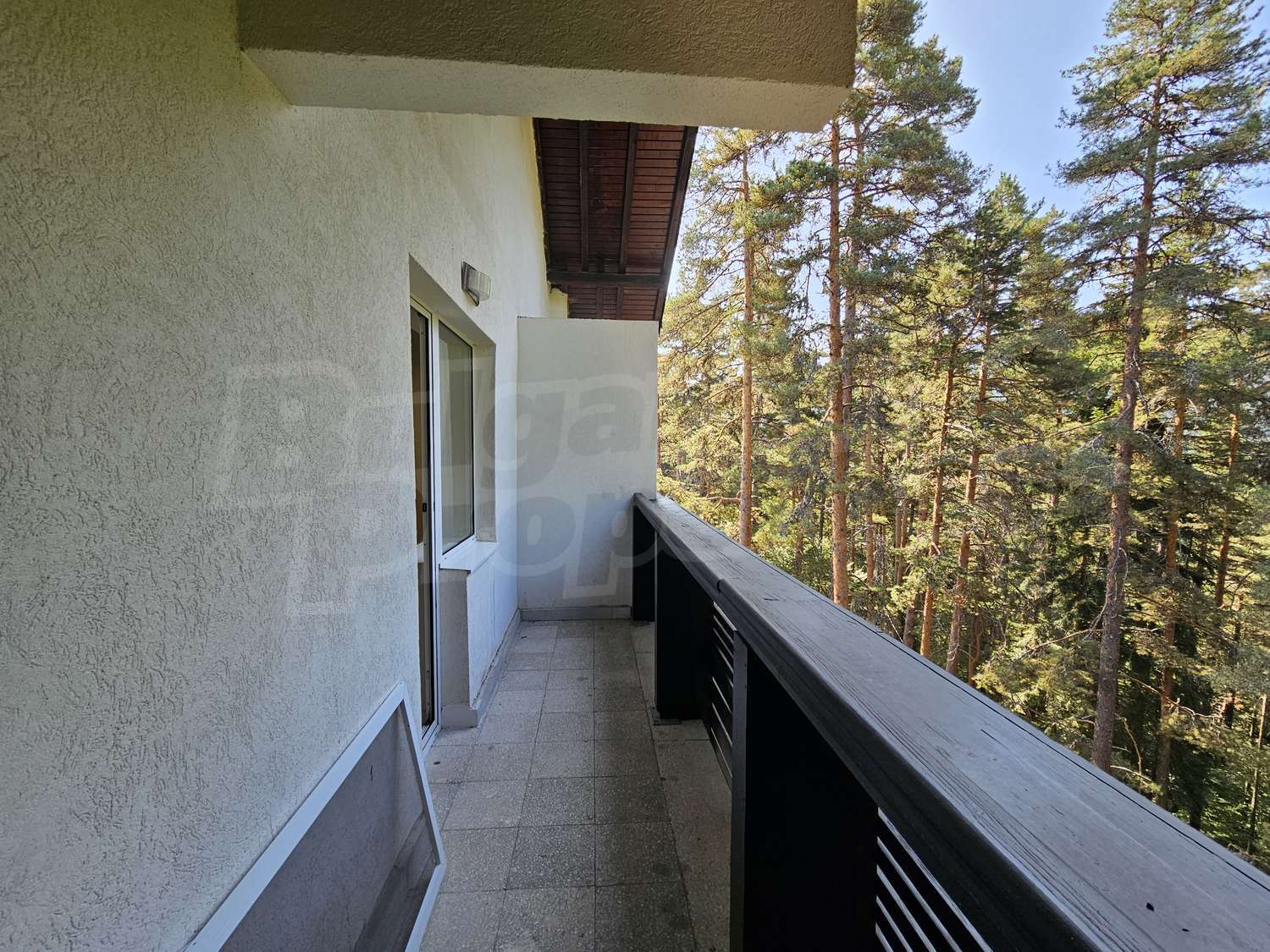 Gallery Picture