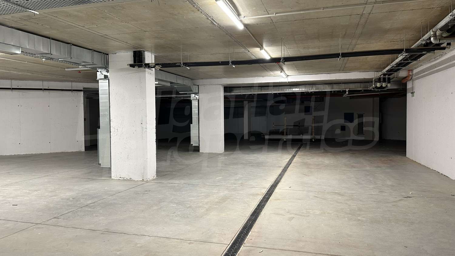 Gallery Picture