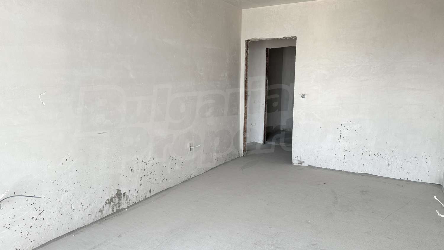 Gallery Picture