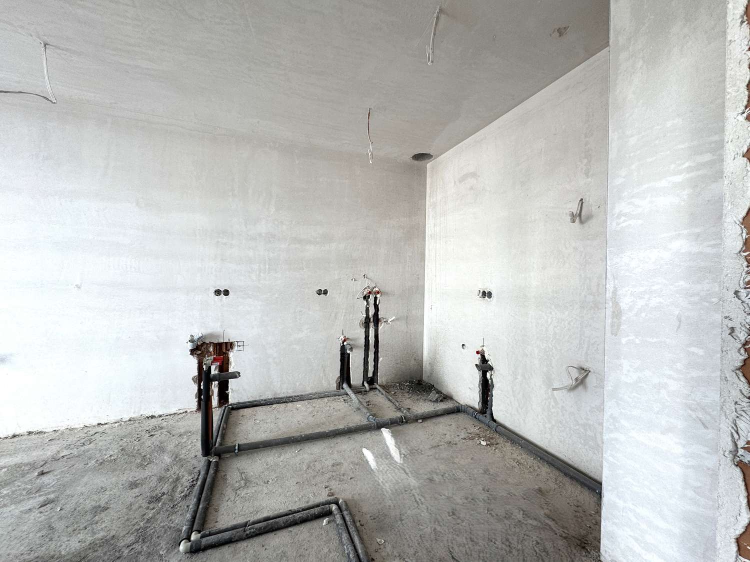Gallery Picture