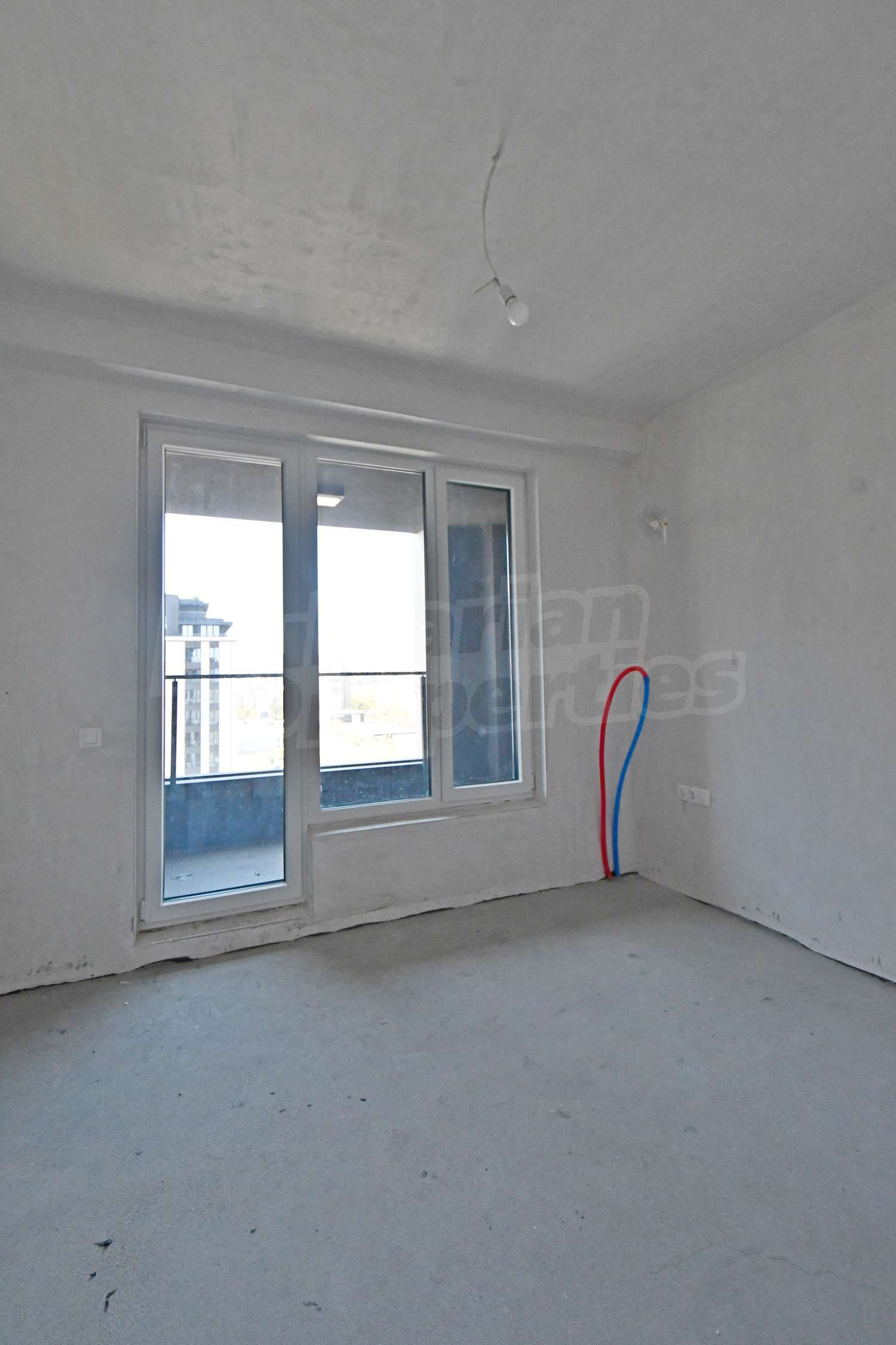 Gallery Picture