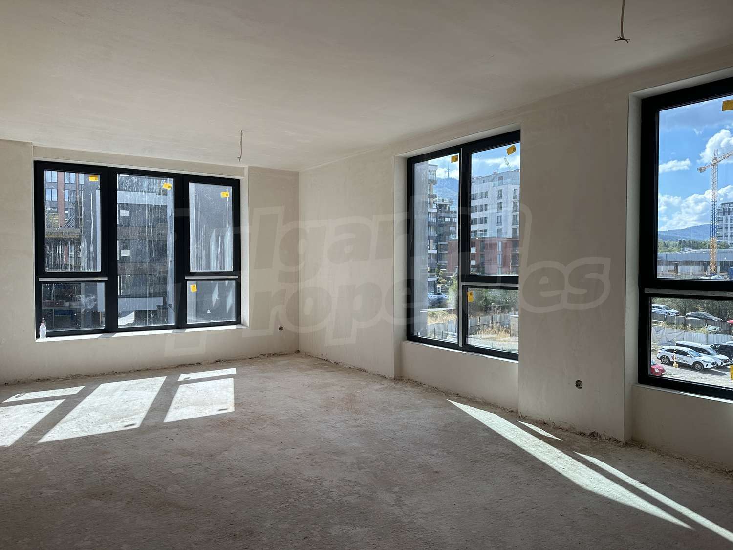 Gallery Picture