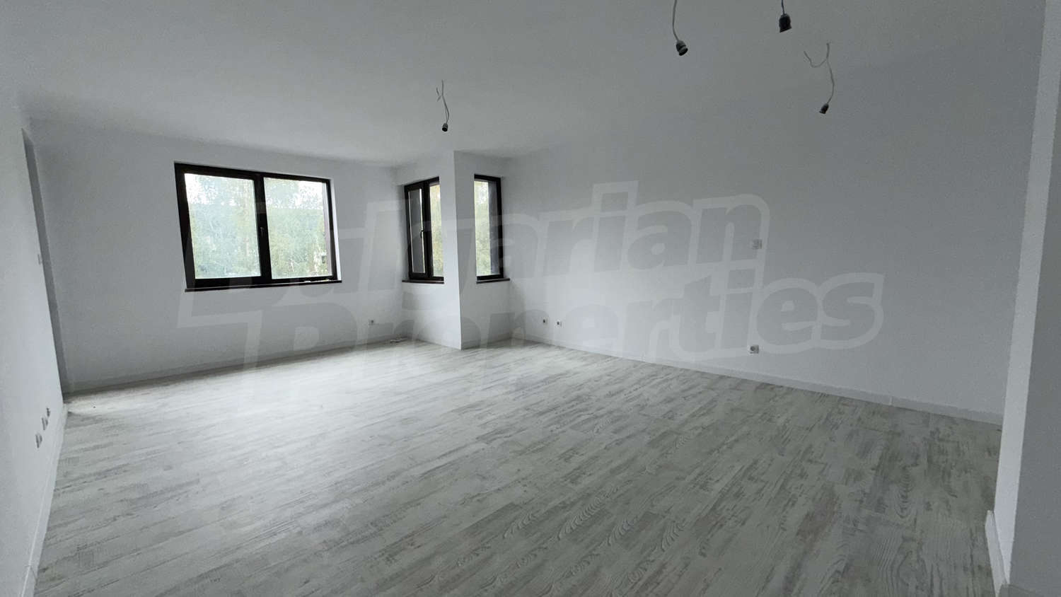 Gallery Picture