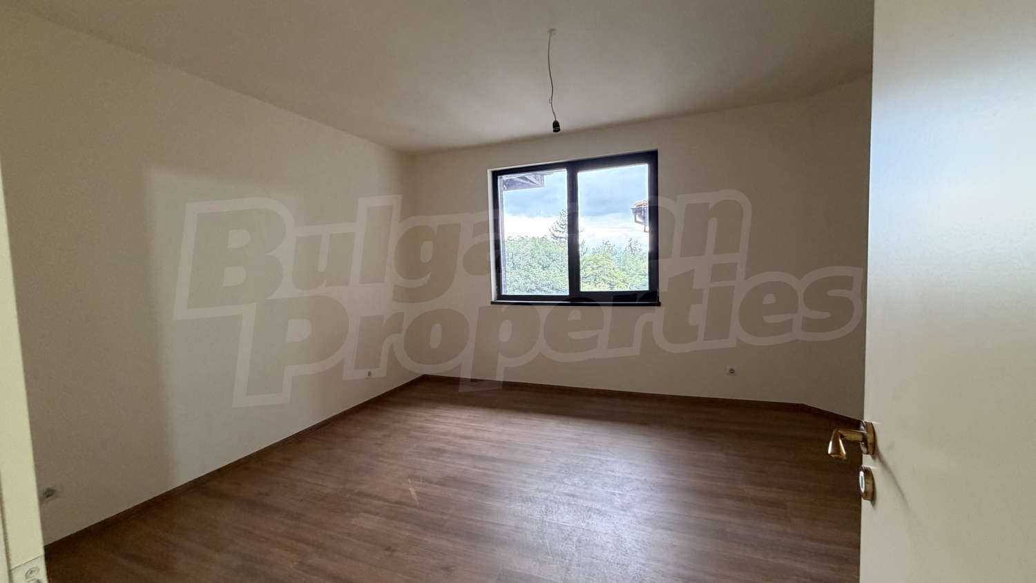 Gallery Picture