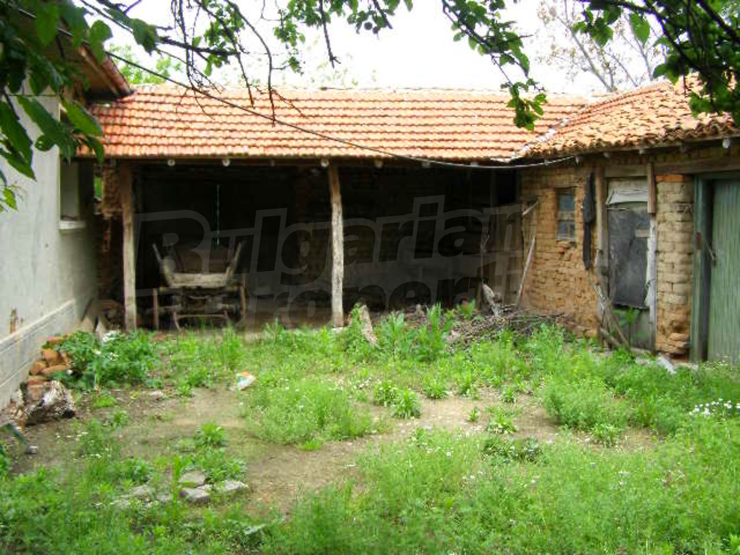 Gallery Picture 13