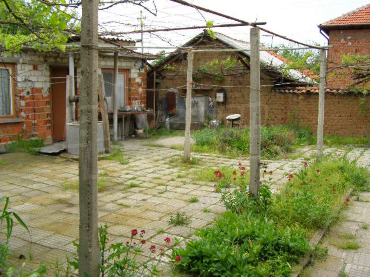 Gallery Picture 14