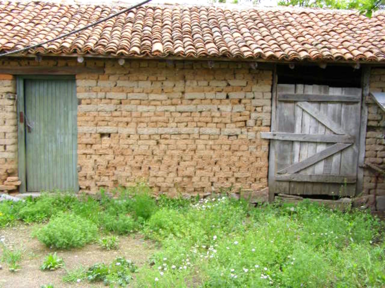 Gallery Picture 15