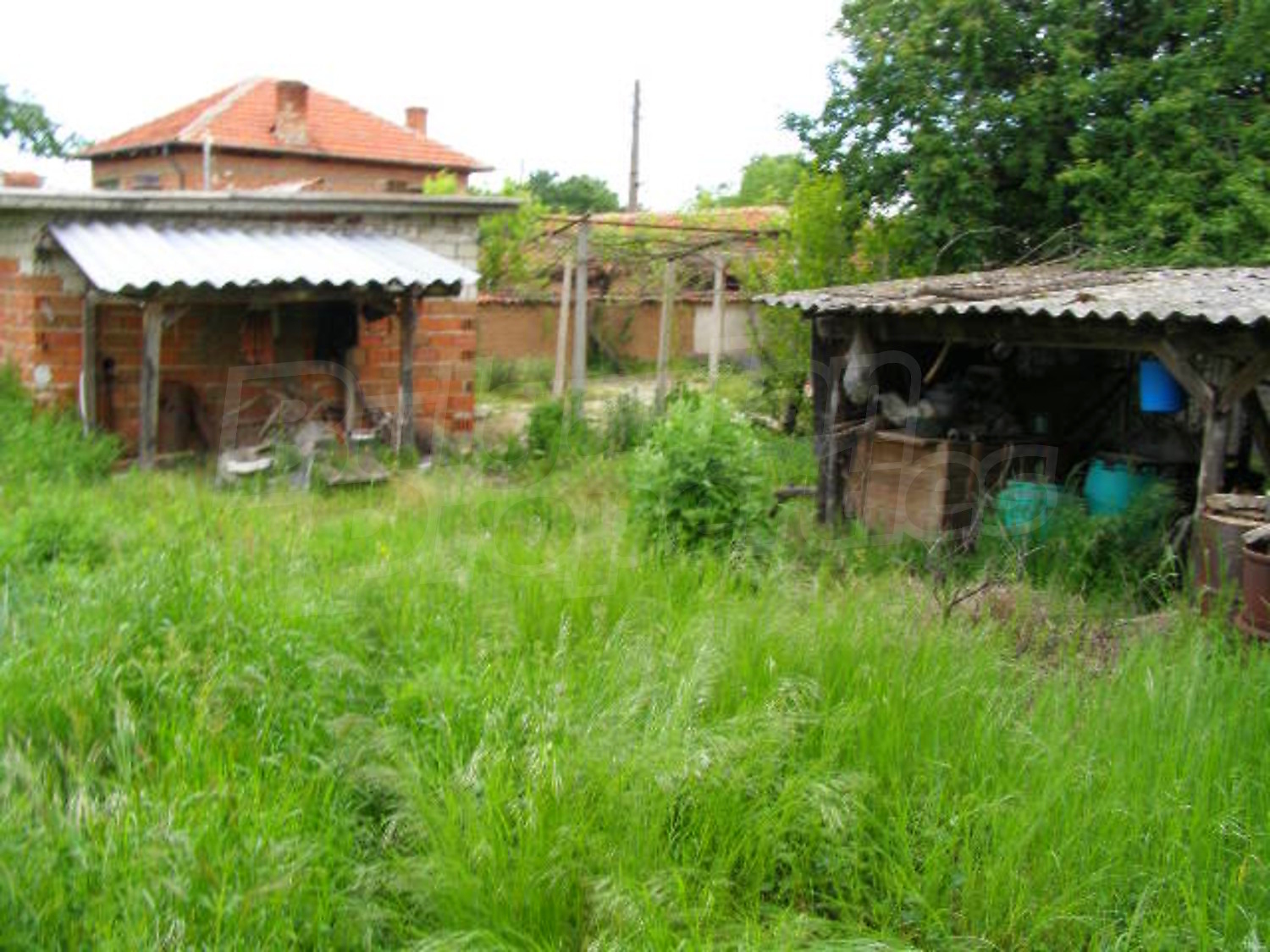 Gallery Picture 16