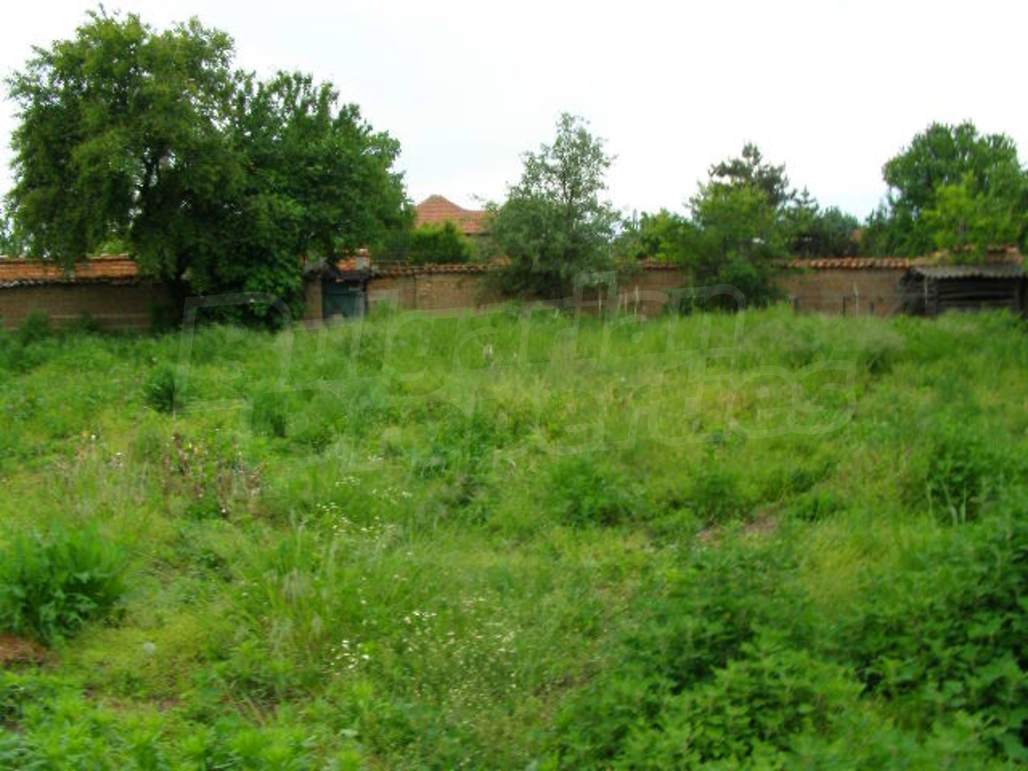 Gallery Picture 18