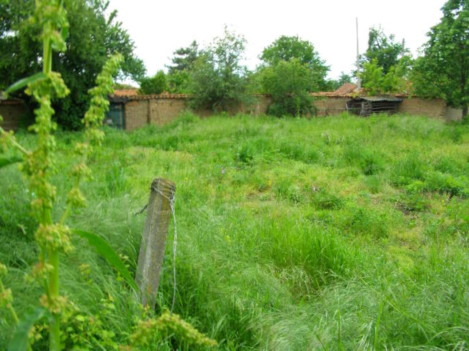 Gallery Picture 19
