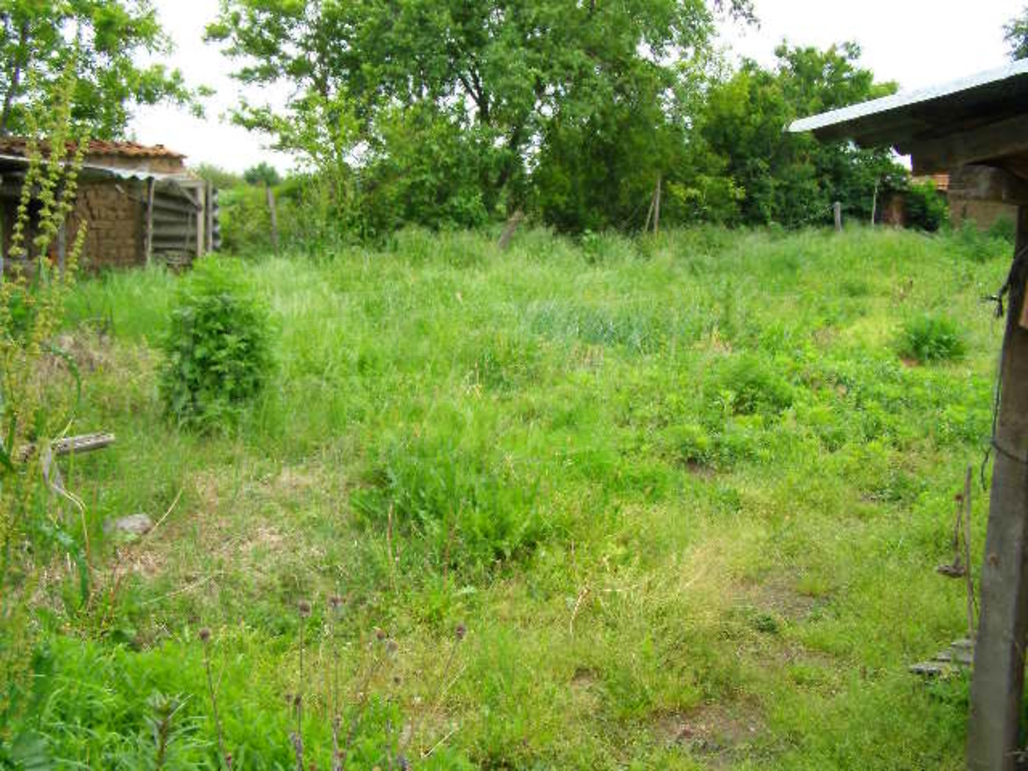 Gallery Picture 20