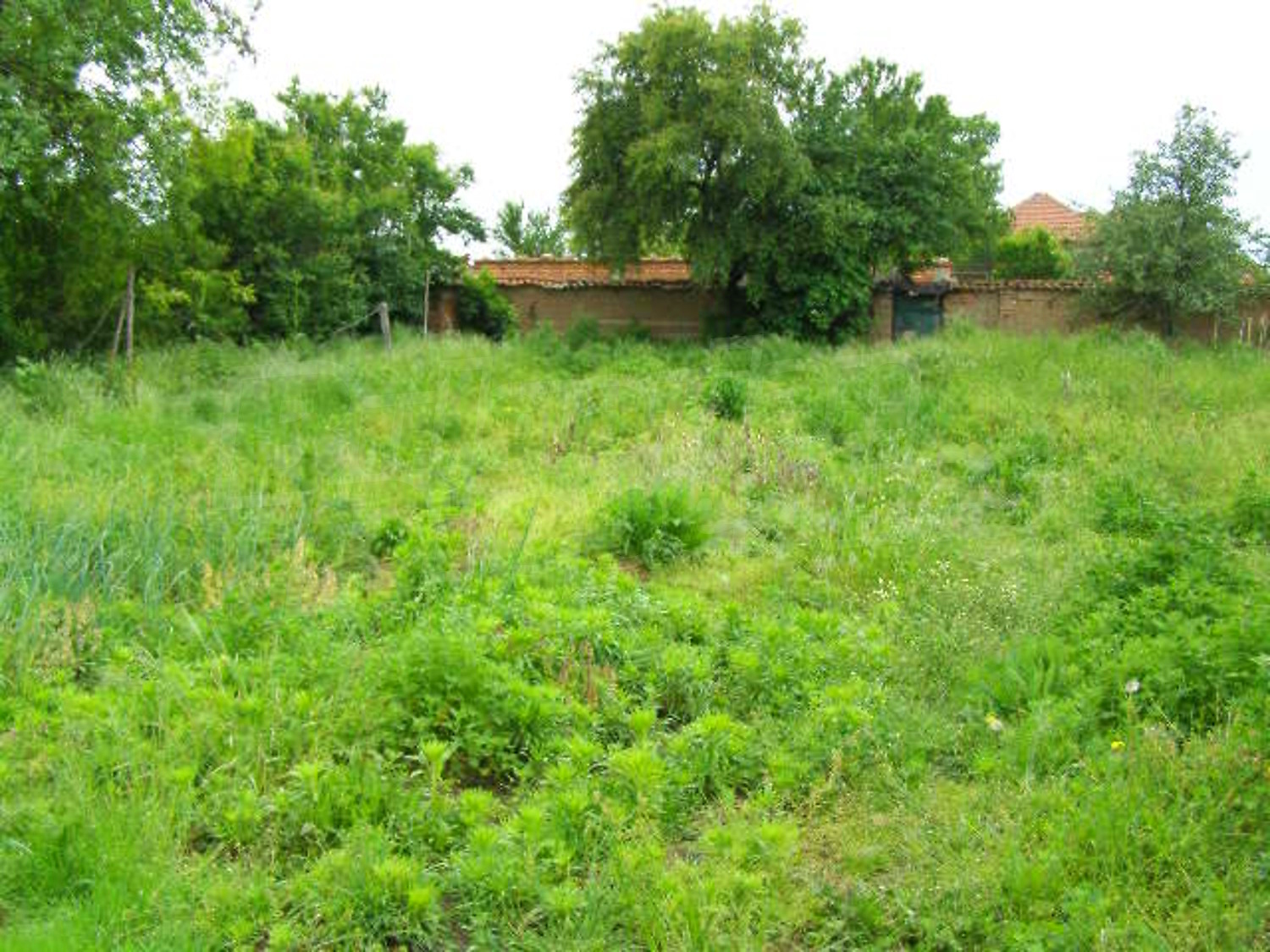 Gallery Picture 21