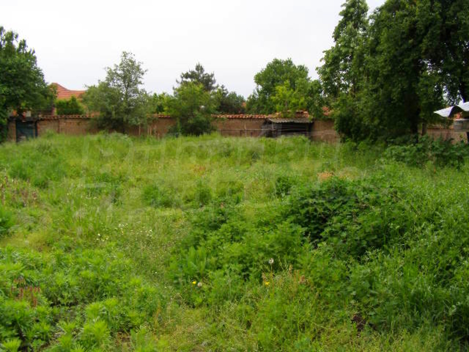 Gallery Picture 22