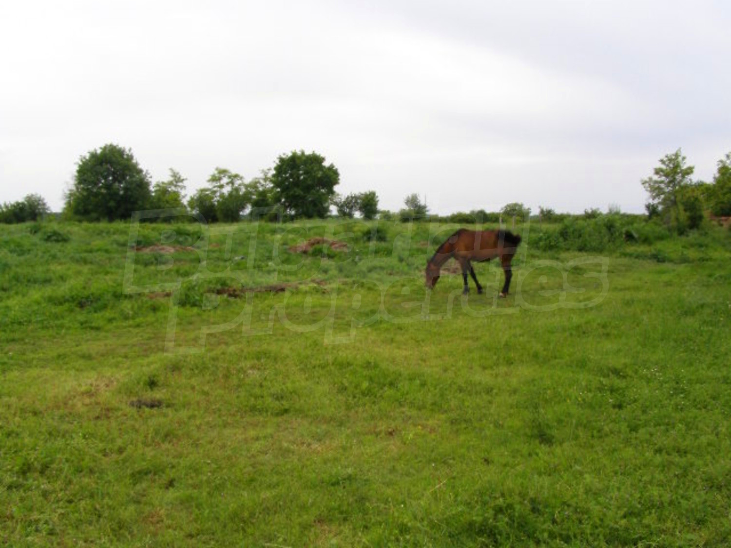 Gallery Picture 24