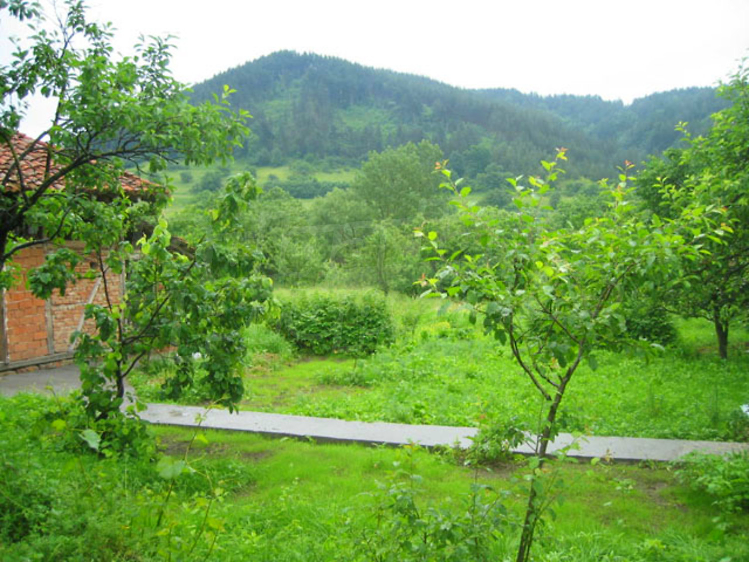 Gallery Picture 12