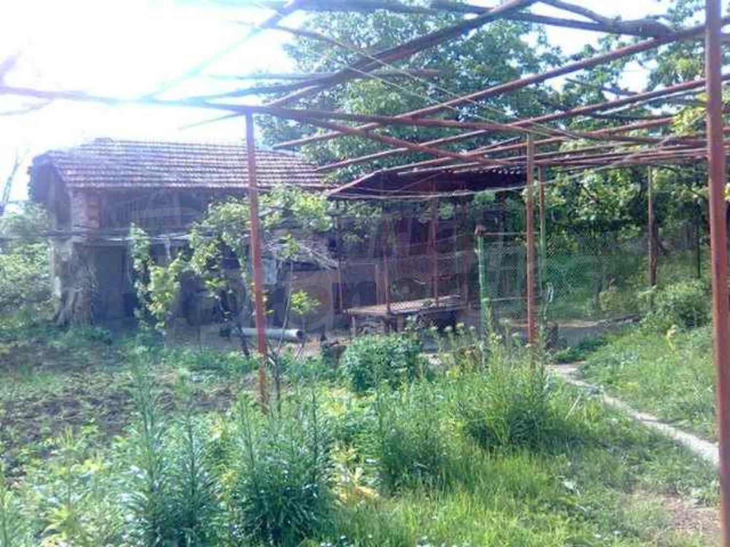 Gallery Picture 8