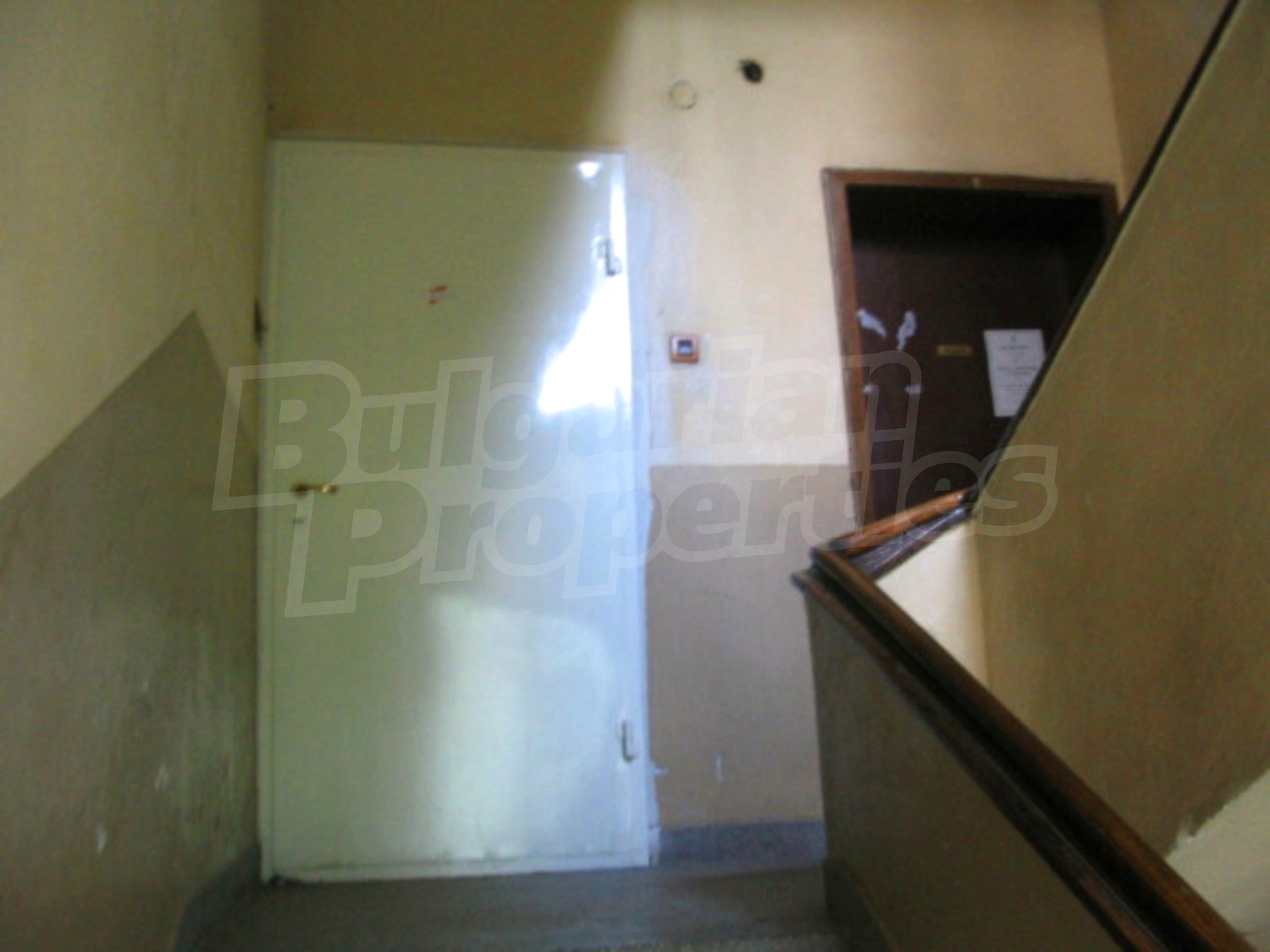 Gallery Picture 9