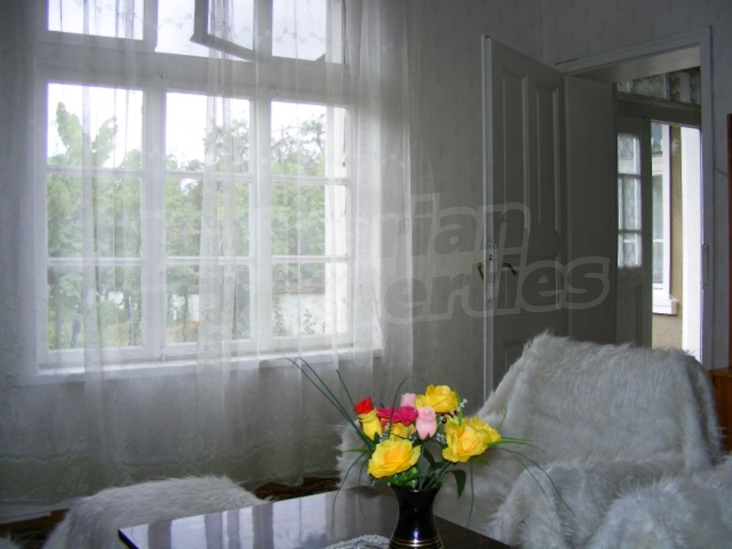 Gallery Picture 18