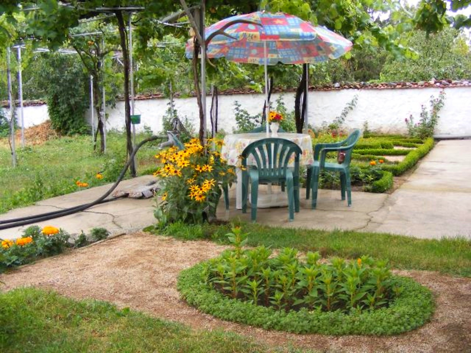 Gallery Picture 29