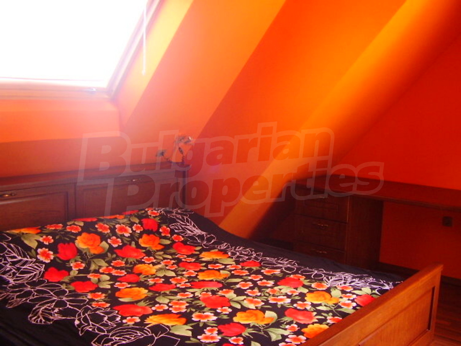 Gallery Picture 15