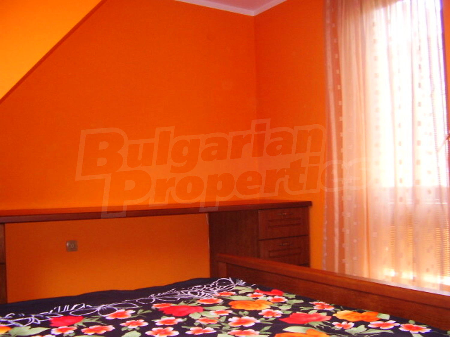 Gallery Picture 17