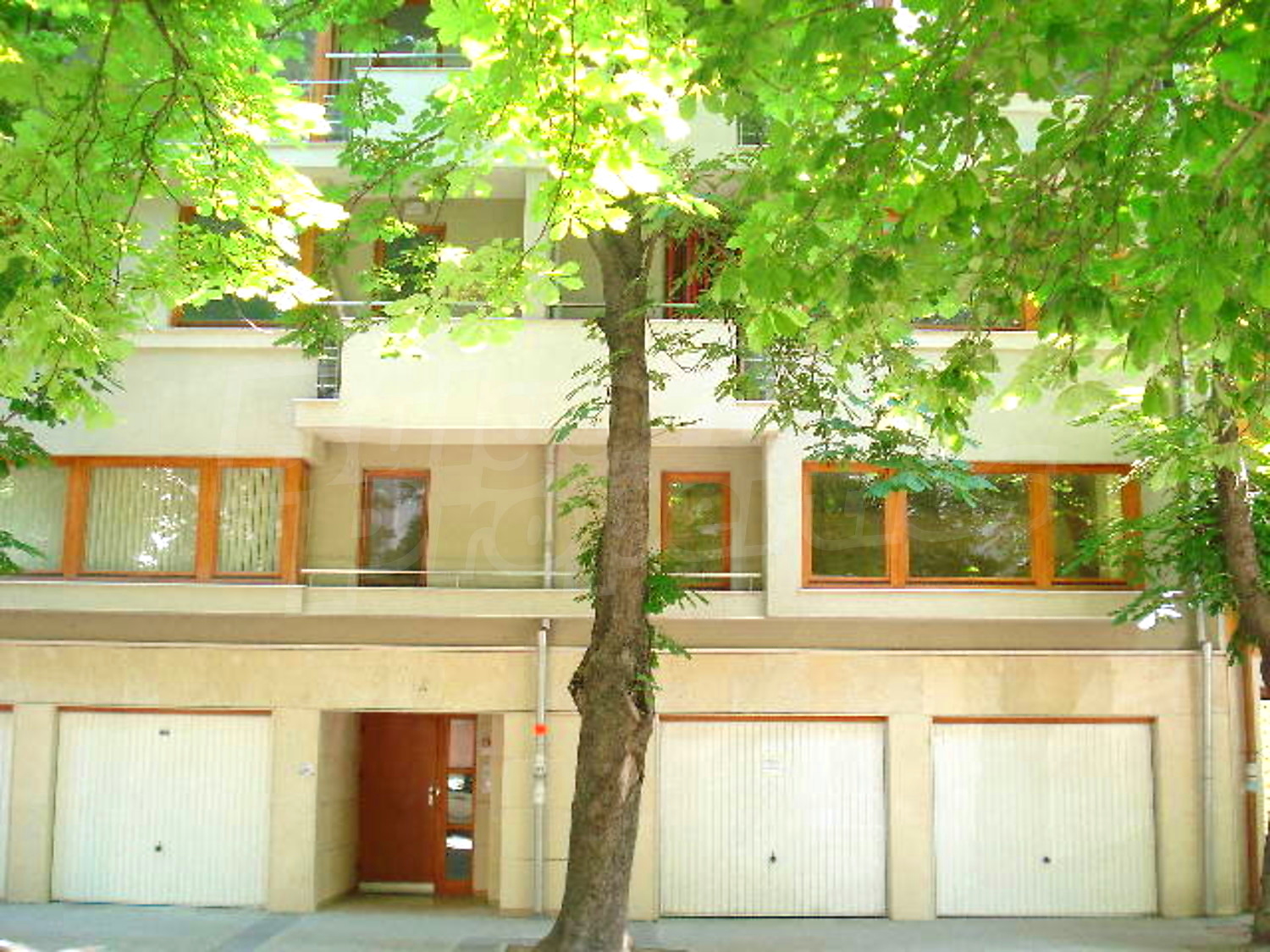 Gallery Picture 26