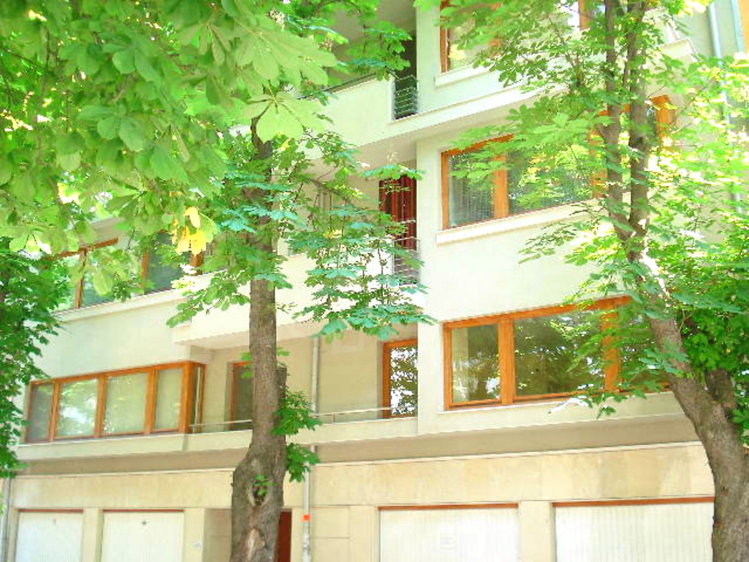 Gallery Picture 27