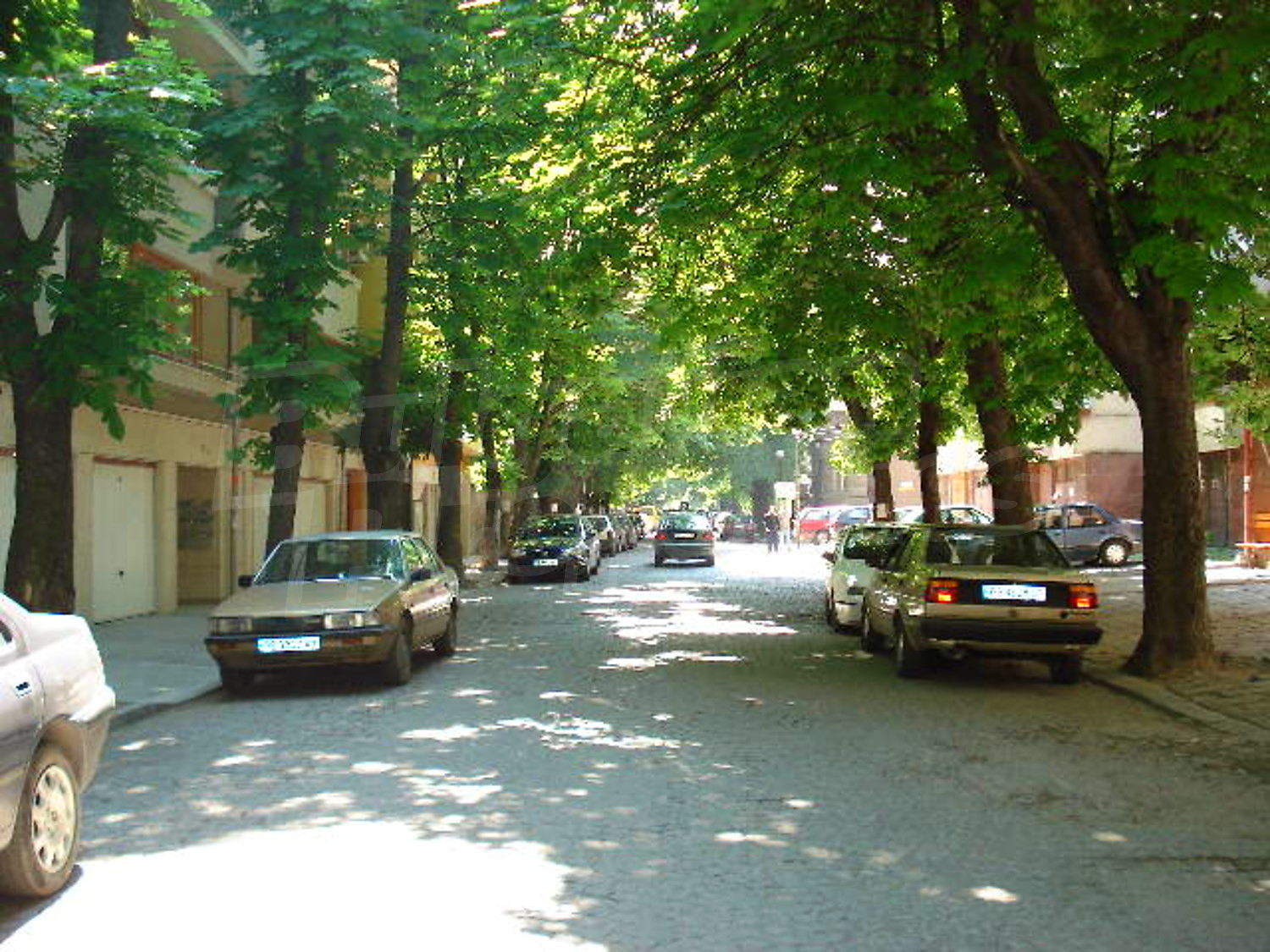 Gallery Picture 28