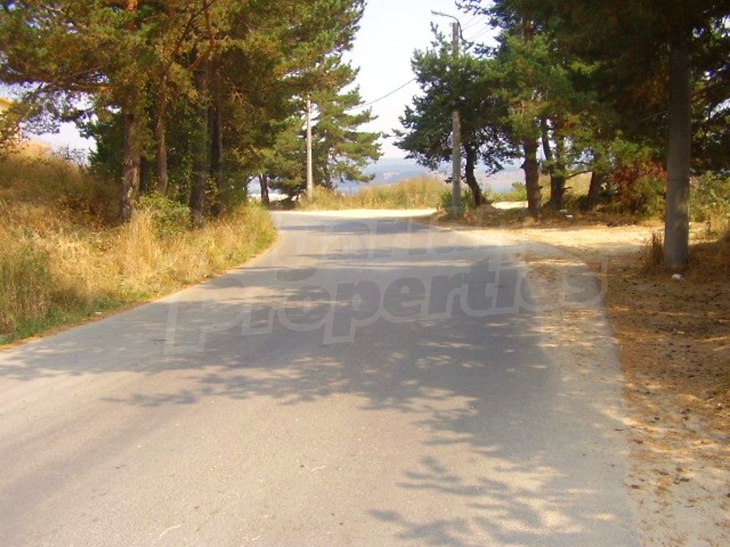 Gallery Picture 7