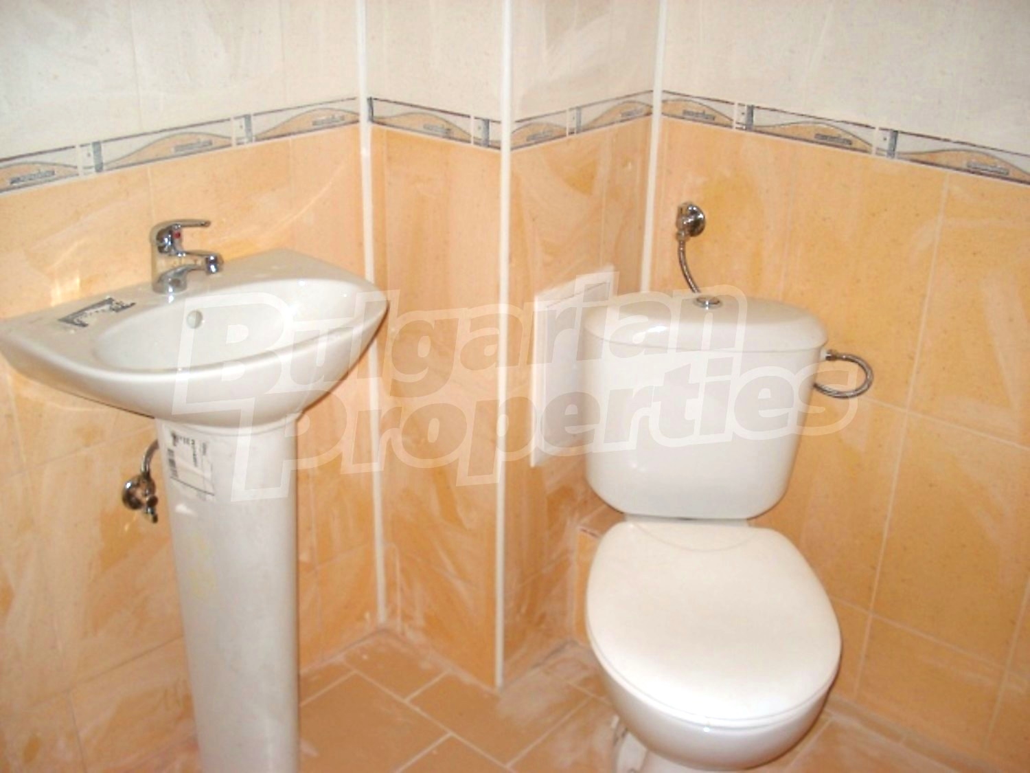 Gallery Picture 16