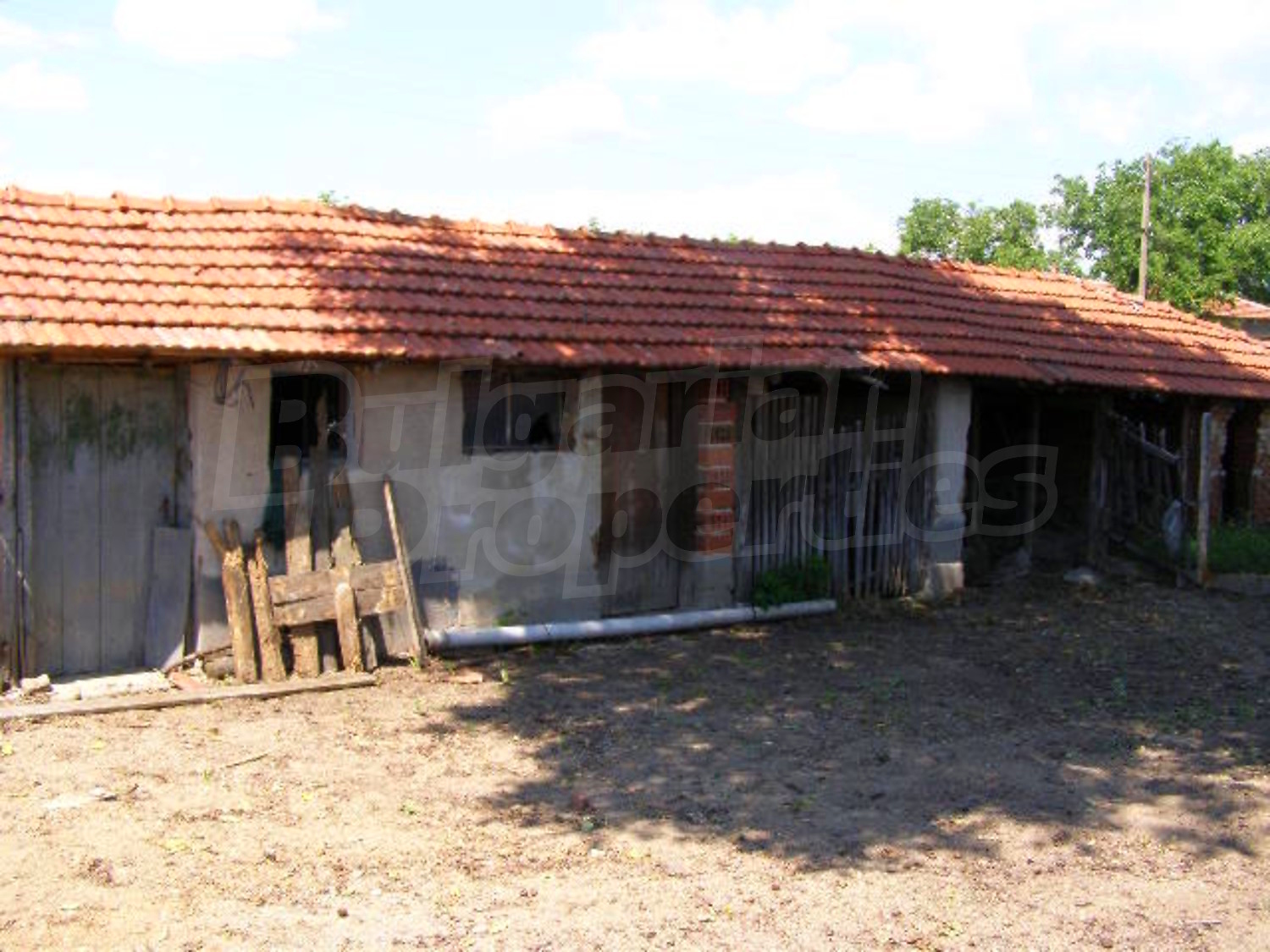 Gallery Picture 15