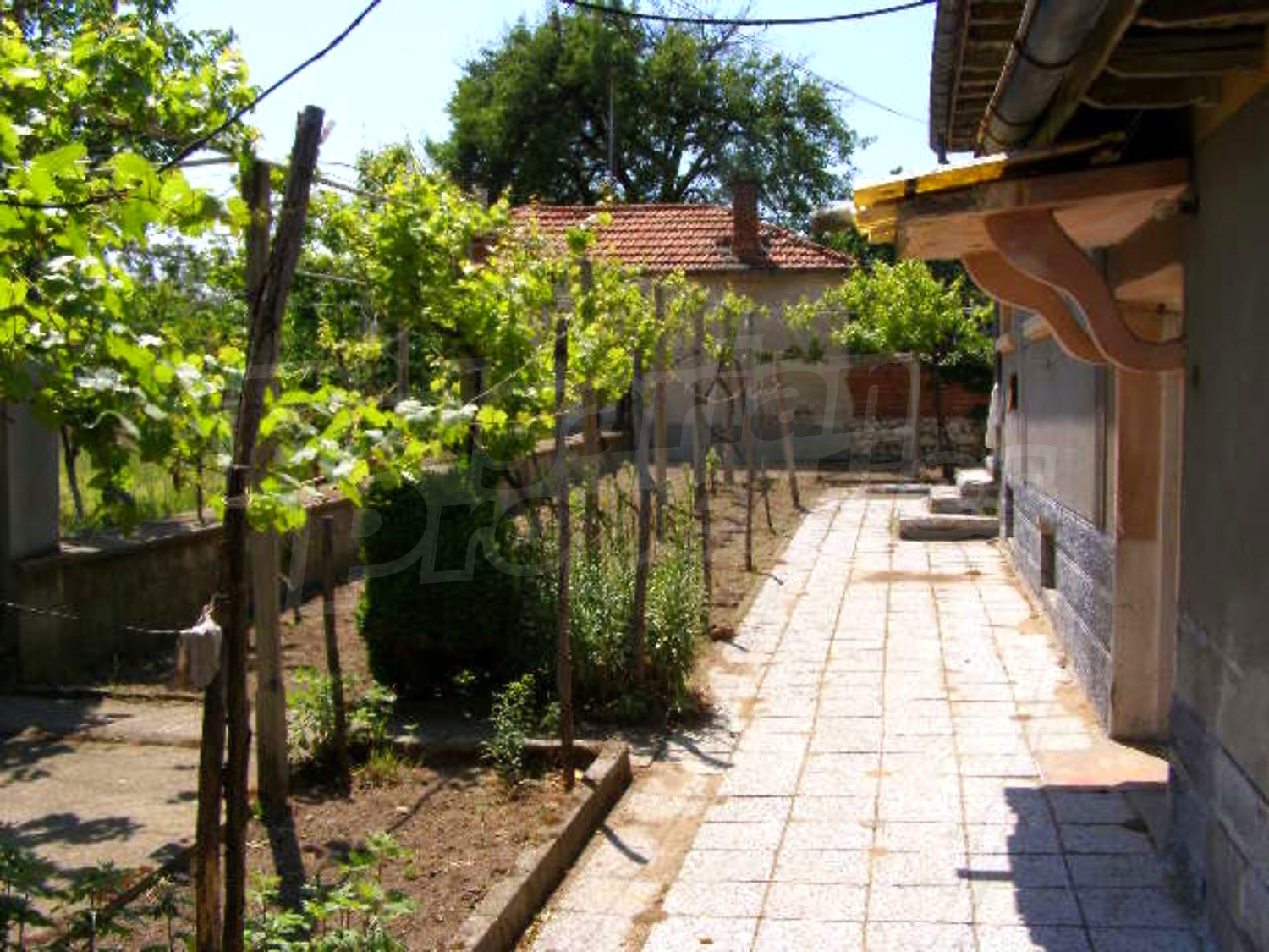 Gallery Picture 17