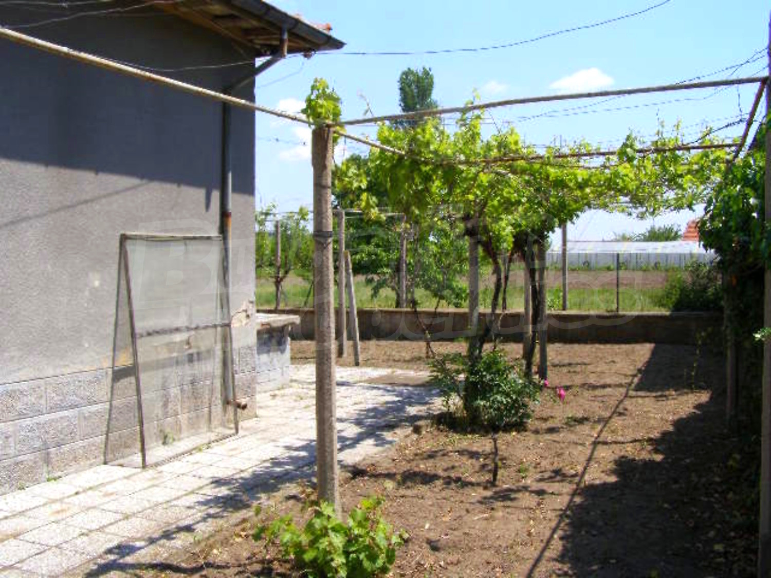 Gallery Picture 18
