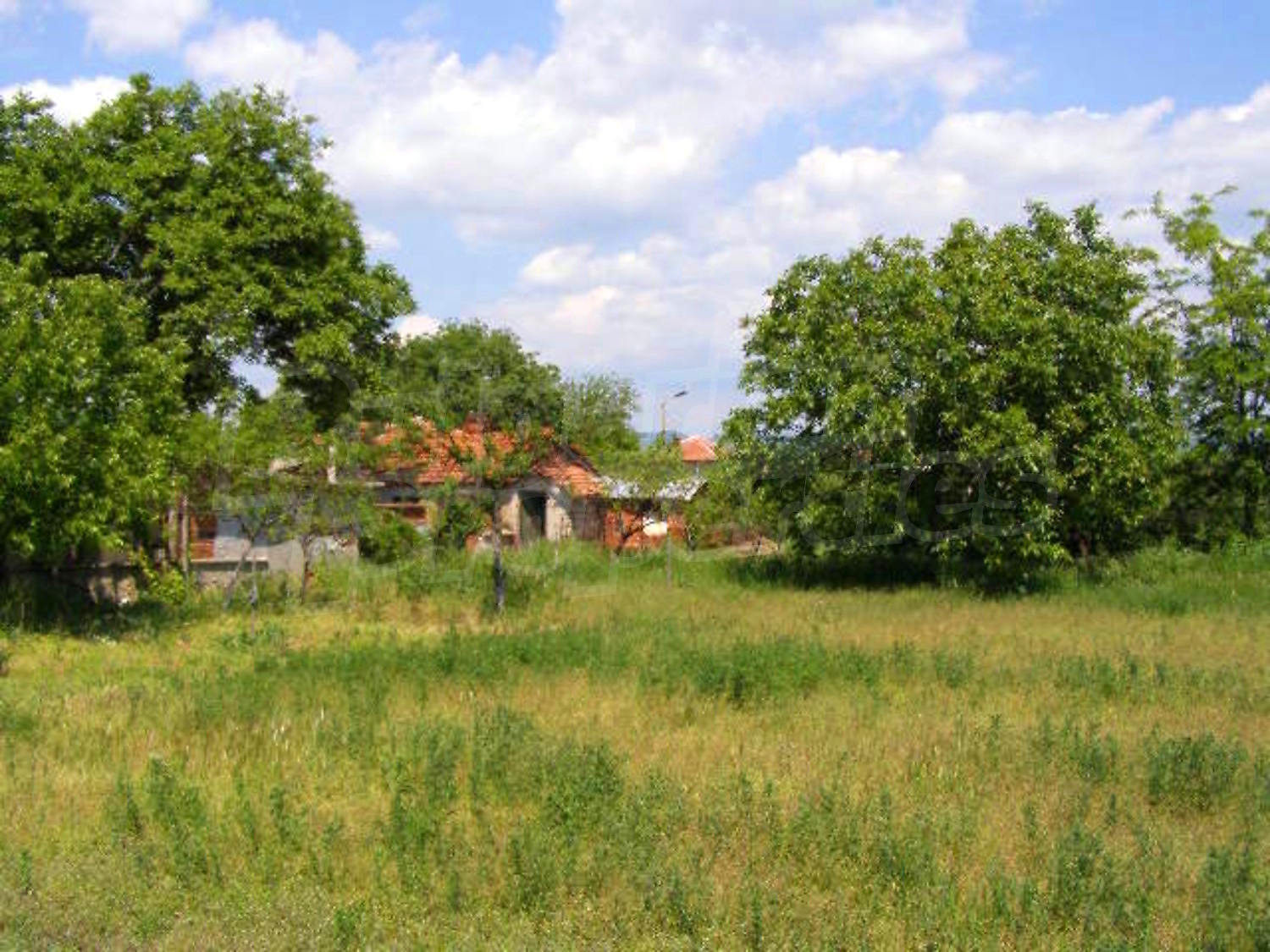 Gallery Picture 23
