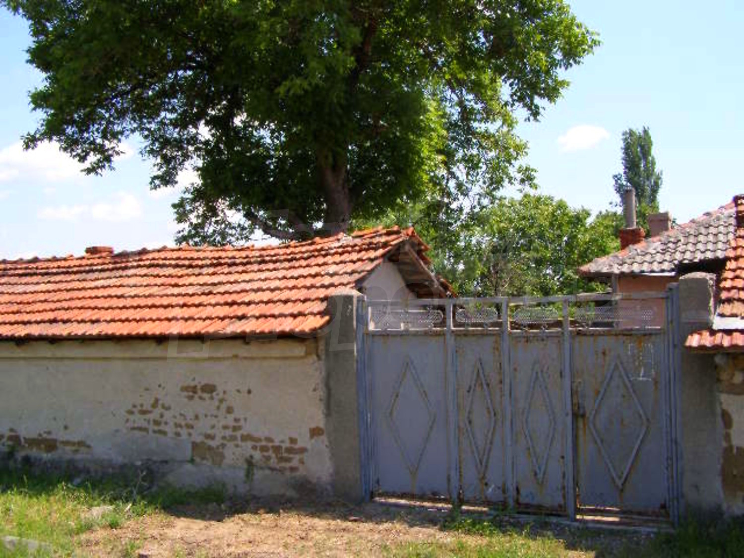 Gallery Picture 27