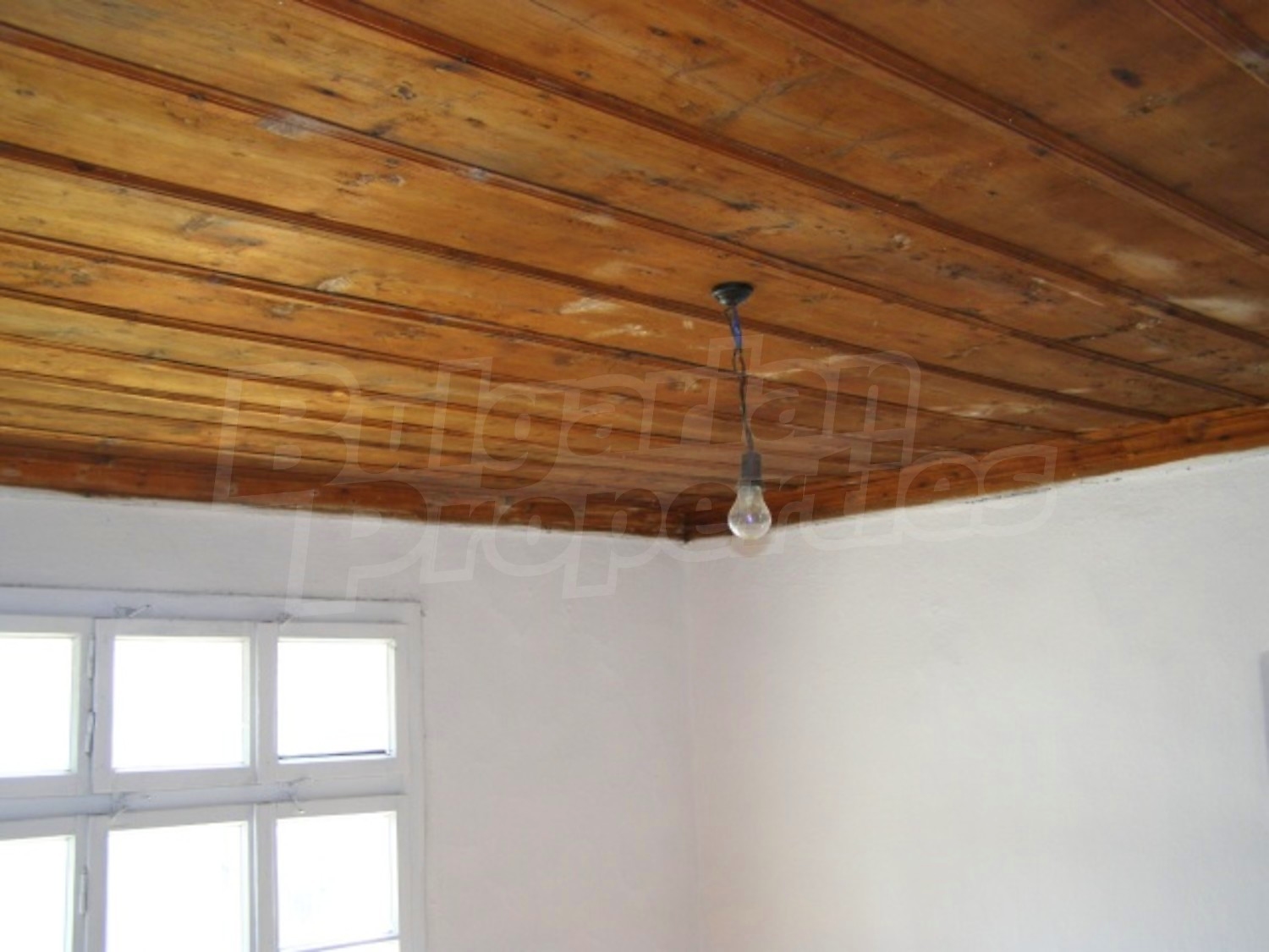 Gallery Picture 10