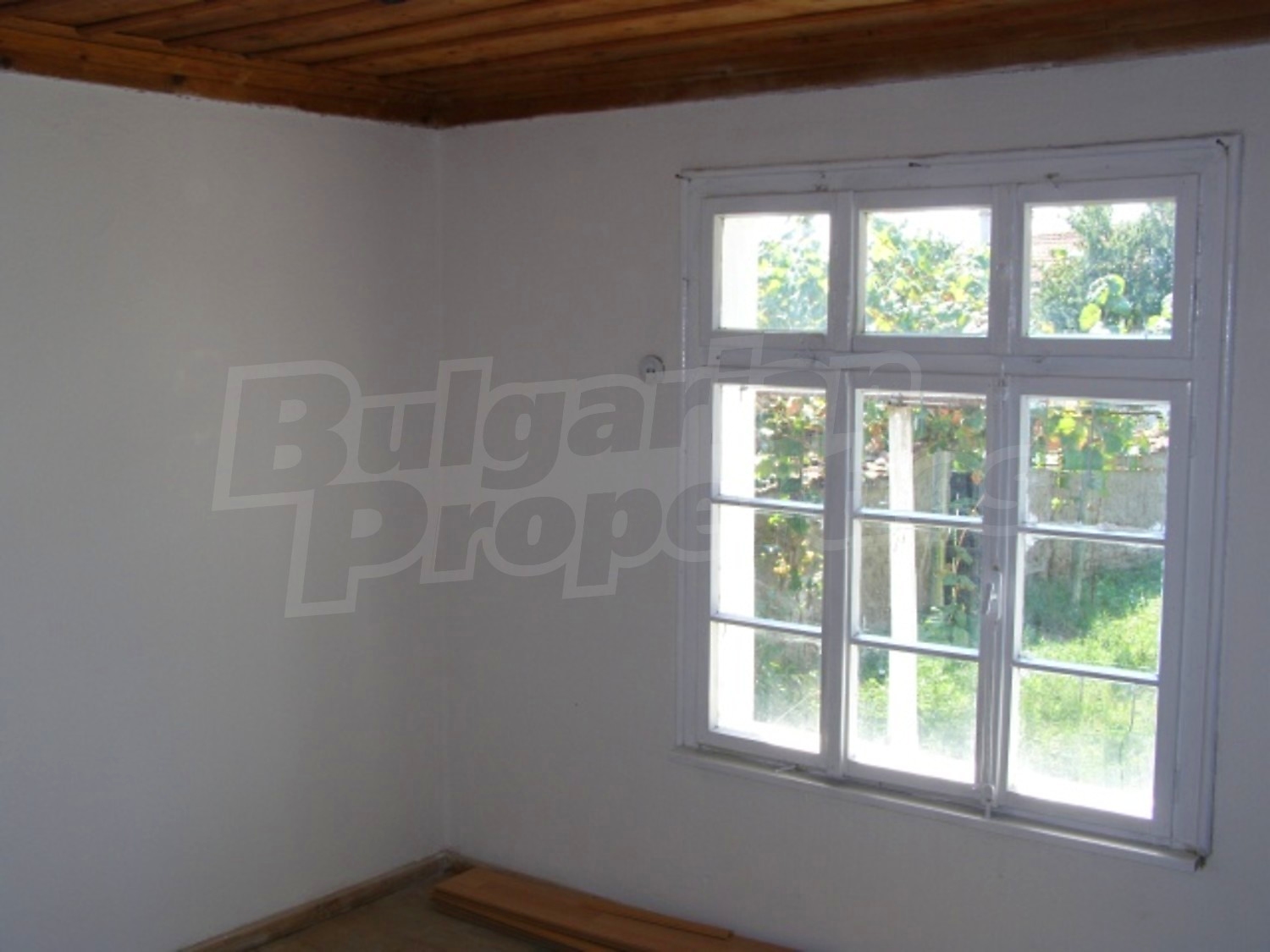Gallery Picture 12