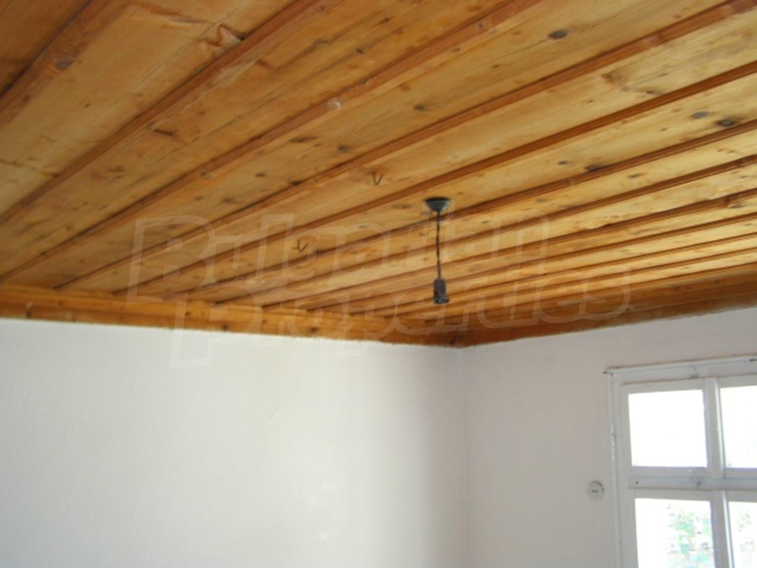 Gallery Picture 14
