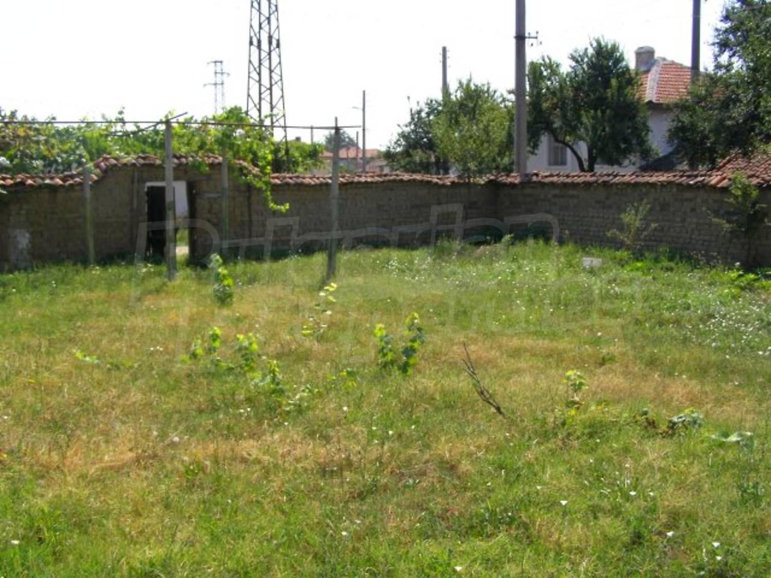Gallery Picture 19