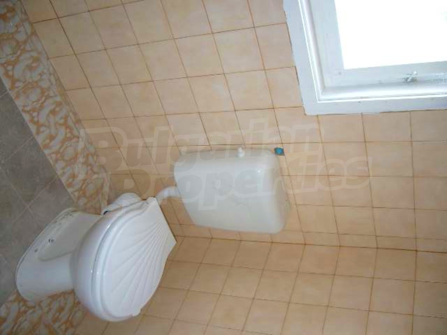 Gallery Picture 15