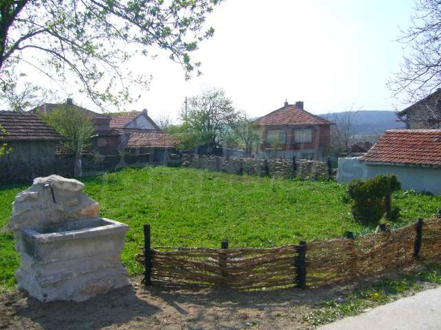 Gallery Picture 18