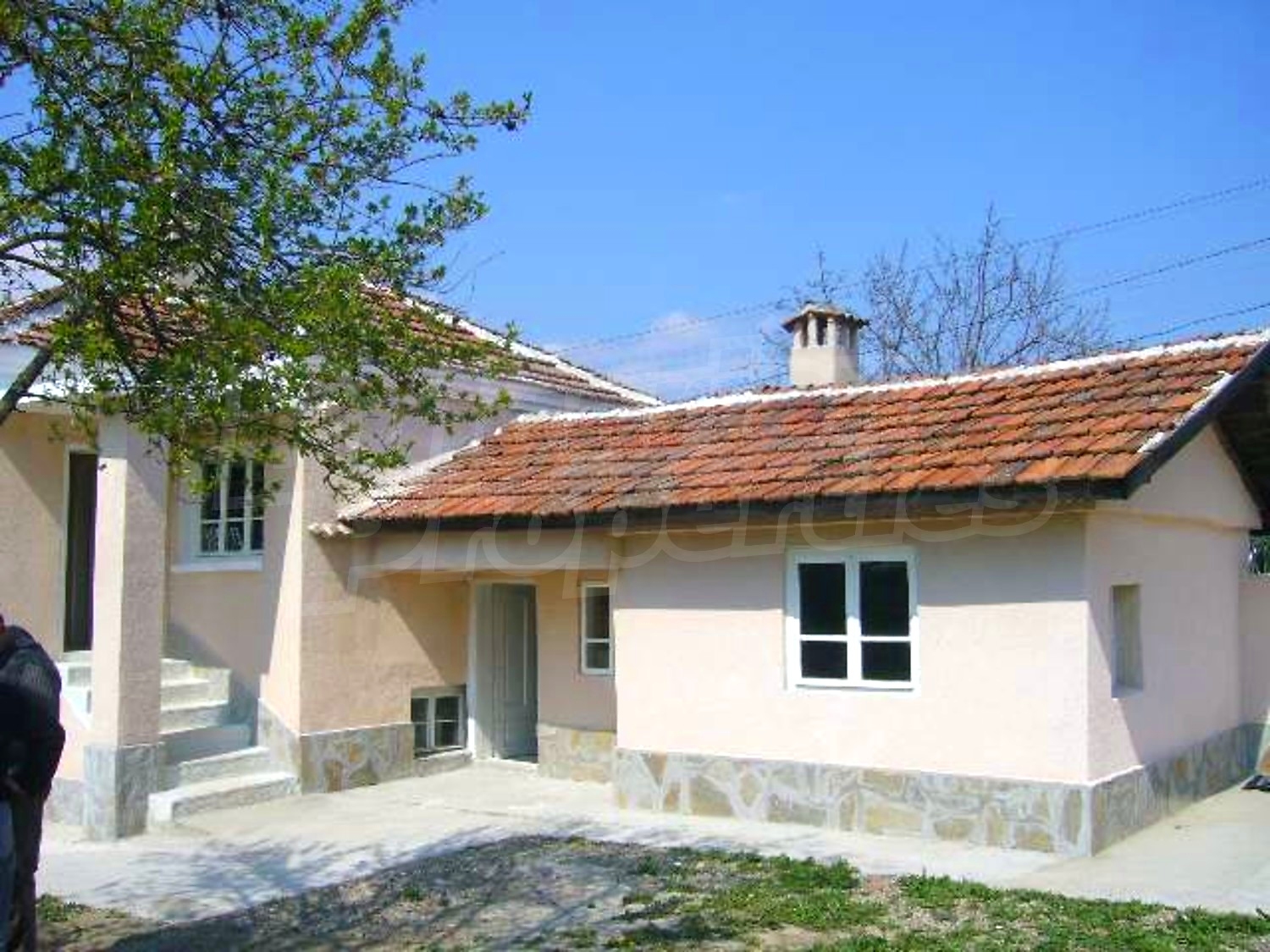 Gallery Picture 5